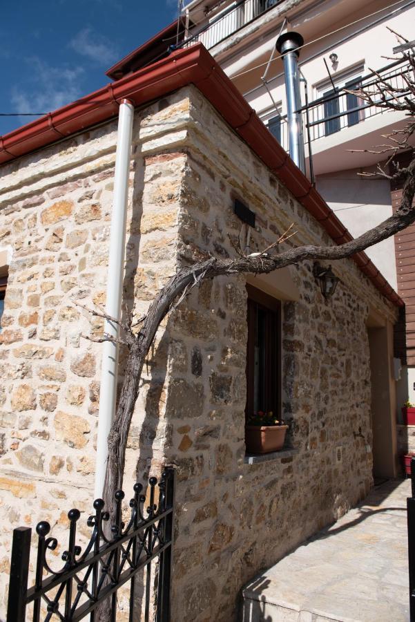 Το Πέτρινο της Γιαγιάς Μαρίκας Διαμέρισμα Καρπενήσι Εξωτερικό φωτογραφία